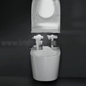 Конзолна тоалетна Roca Avant In Tank
