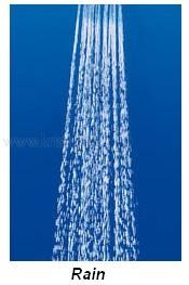 grohe rain